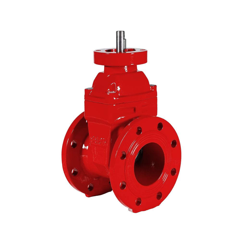 Задвижка чугунная с обрезиненным клином DN 65-300 REON  с голым штоком RSV02