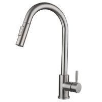 Cмеситель для кухни c поворотным изливом Jarn J5057